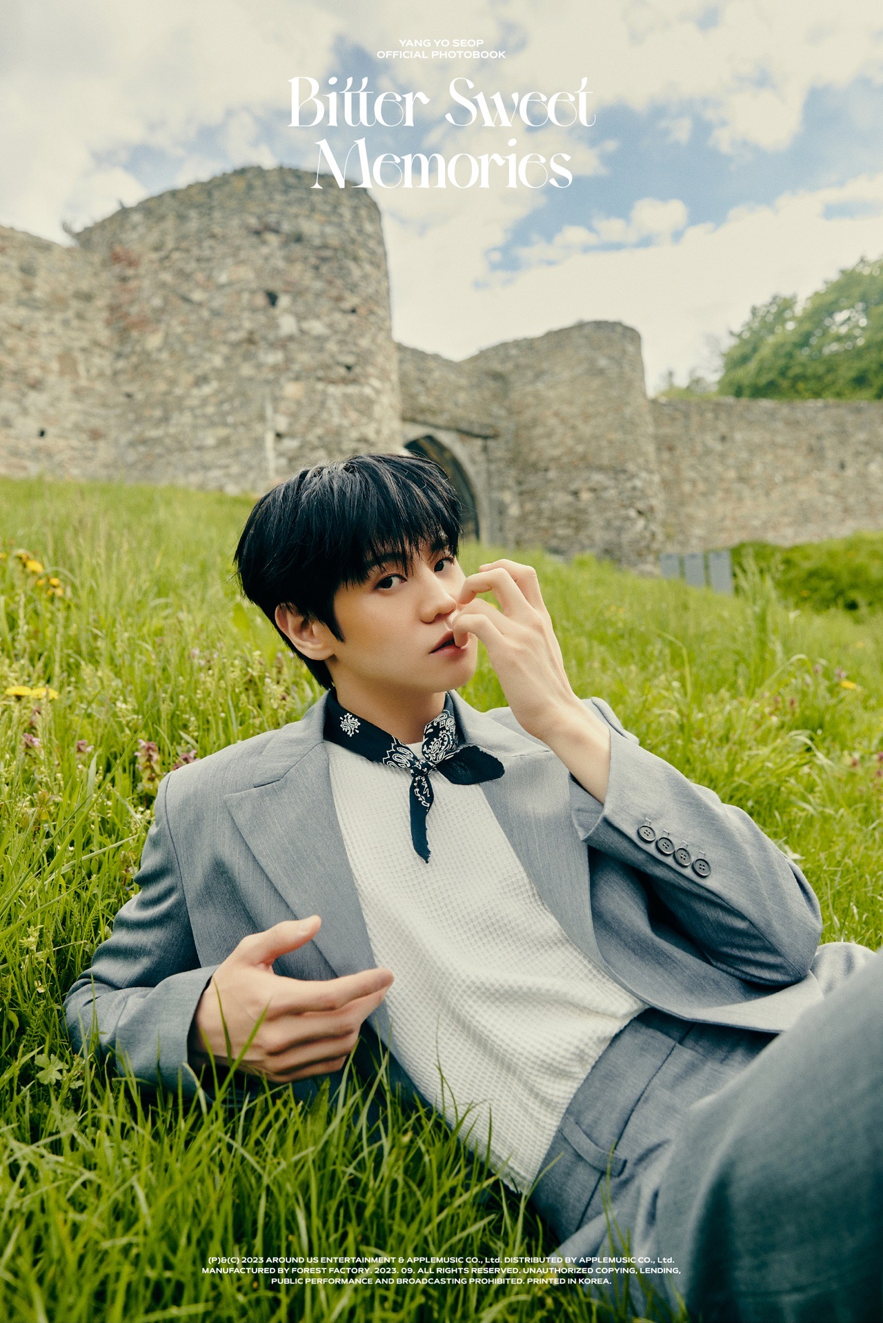 Bitter Sweet Memories