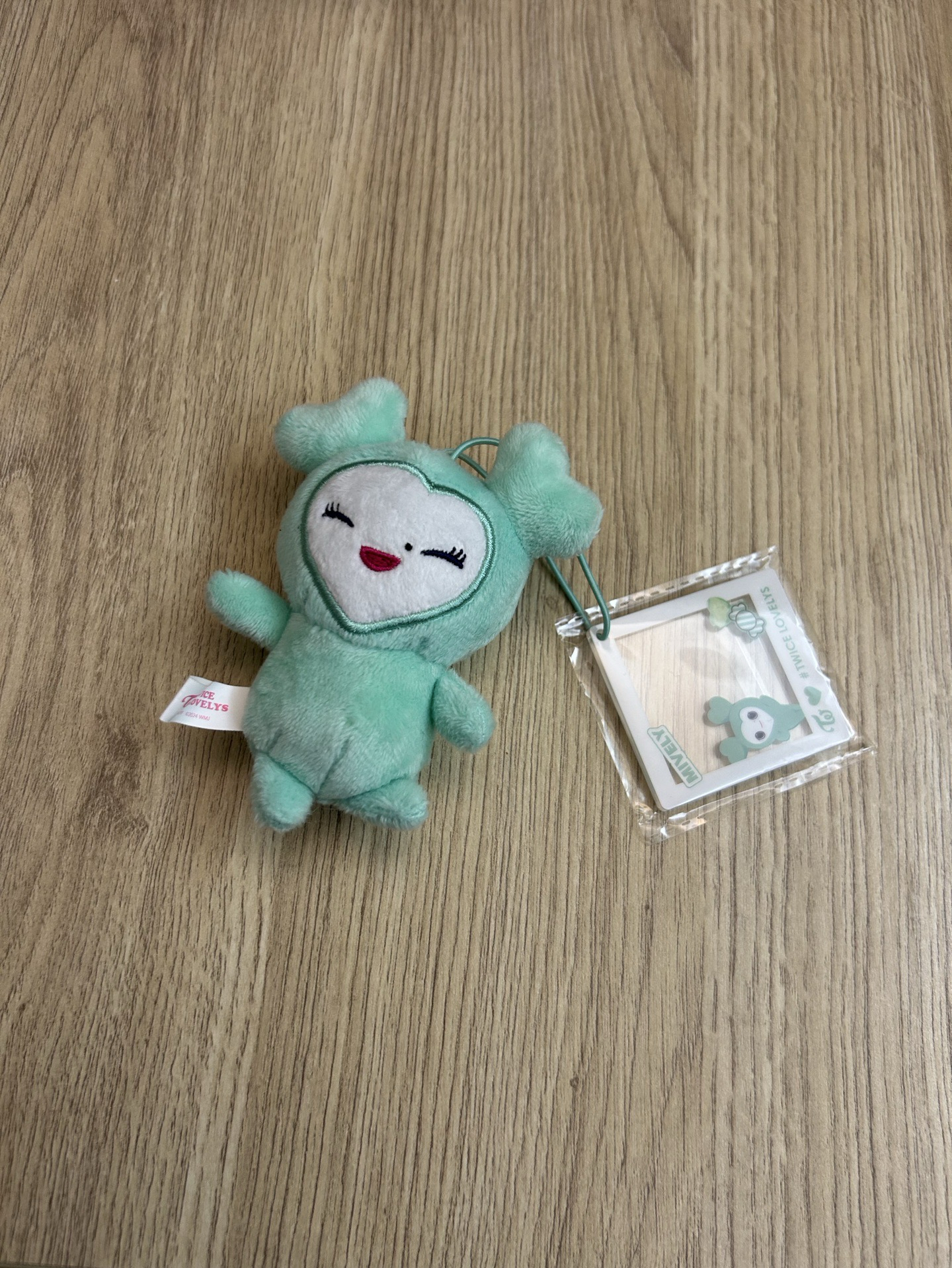 2024 TWICE GIGO 吊娃 吊飾娃、證件照娃 相框娃 笑眯眯娃 Mina 名井南