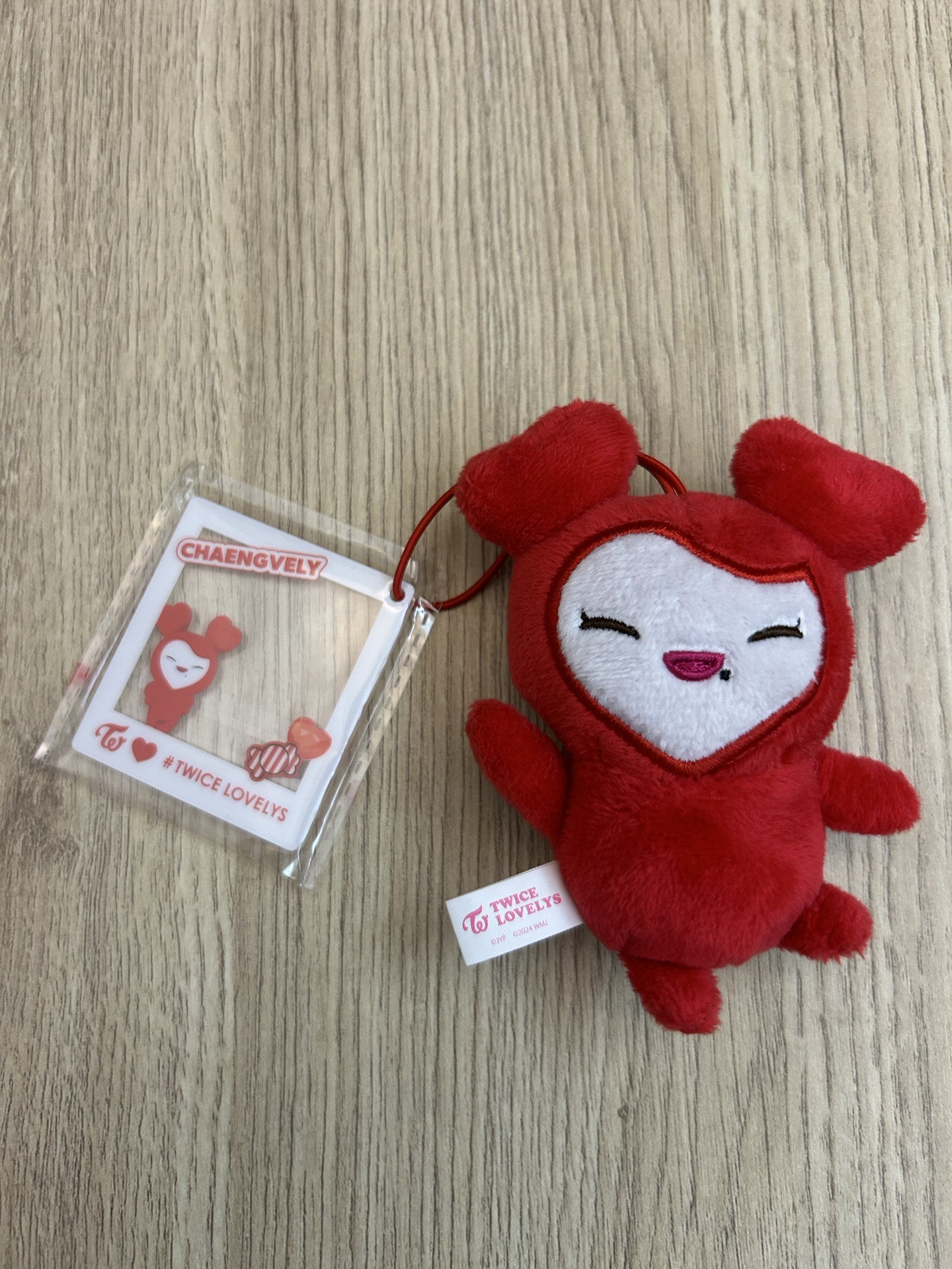 2024 TWICE GIGO 吊娃 吊飾娃、證件照娃 相框娃 笑眯眯娃 彩瑛 Chaeyoung