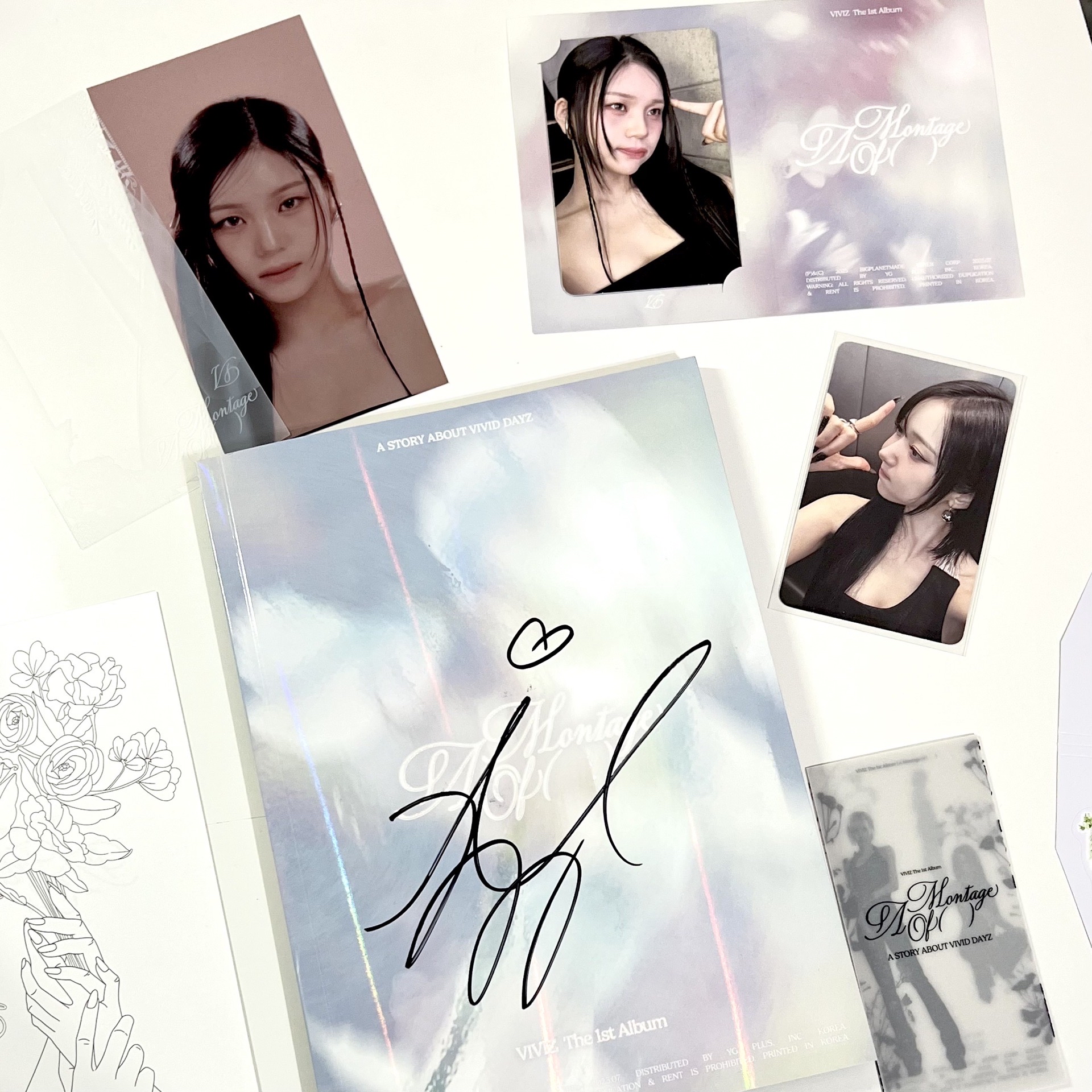 Viviz正一智簽專（已拆全專）