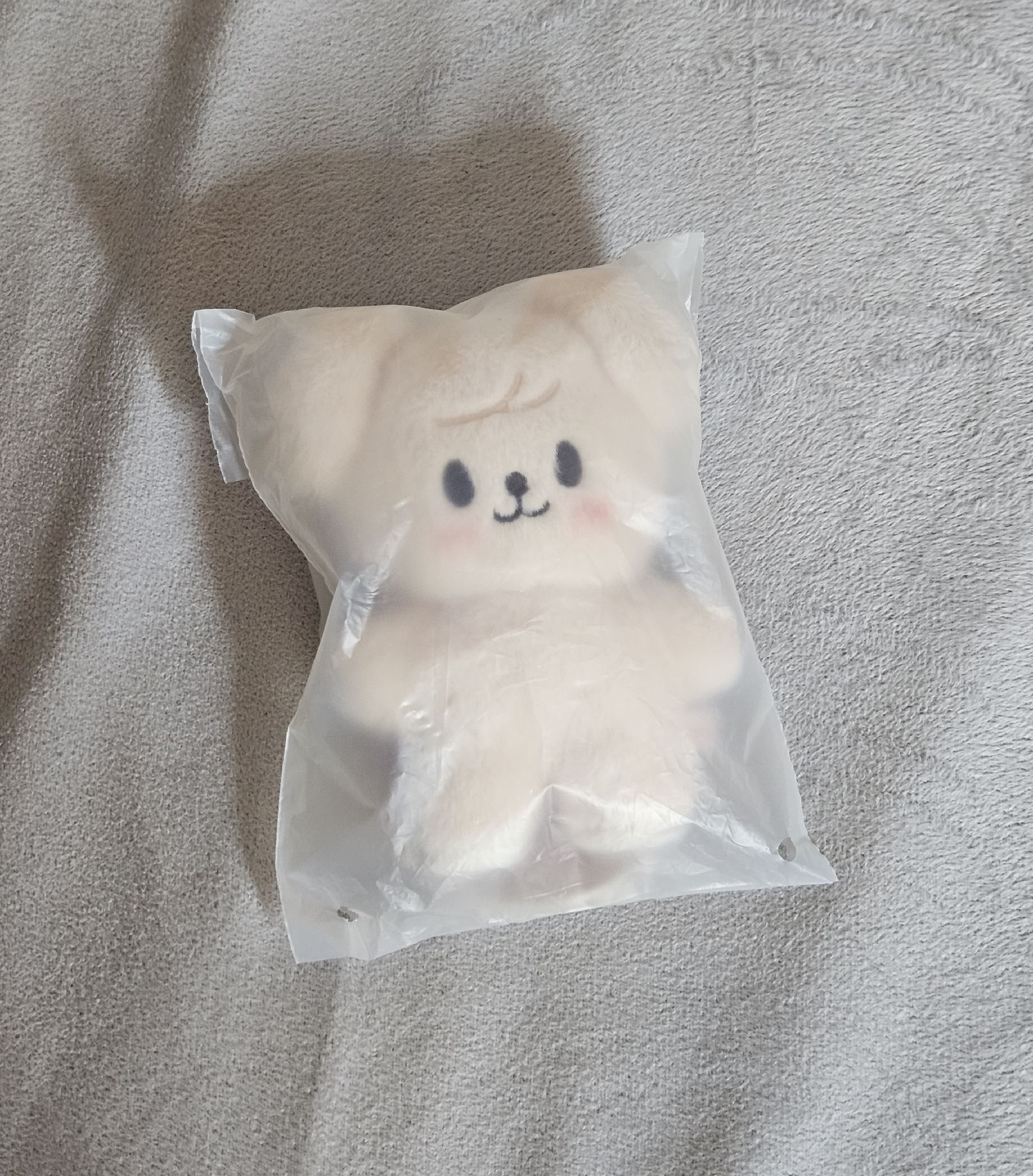 金昇玟安可場站娃