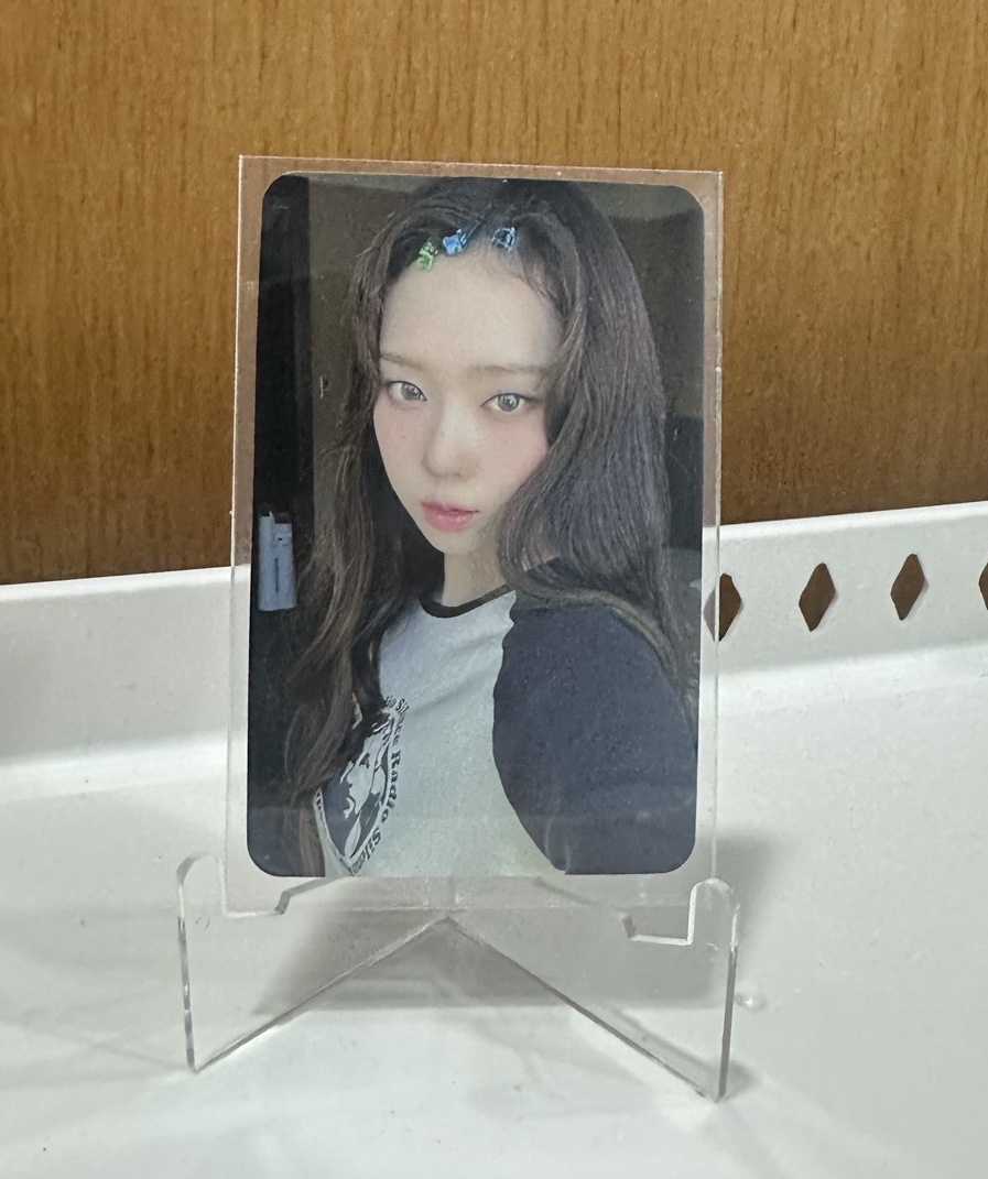 MY WORLD sr 特典卡 星河冬 中背 勇敢狗狗不怕困難