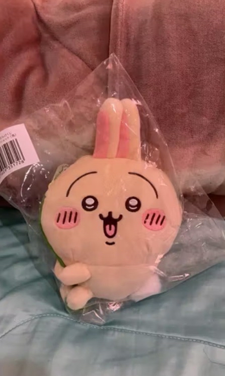 現貨.烏薩奇 一番賞 C賞 藤蔓包（贈綾鷹聯名零錢袋1個）