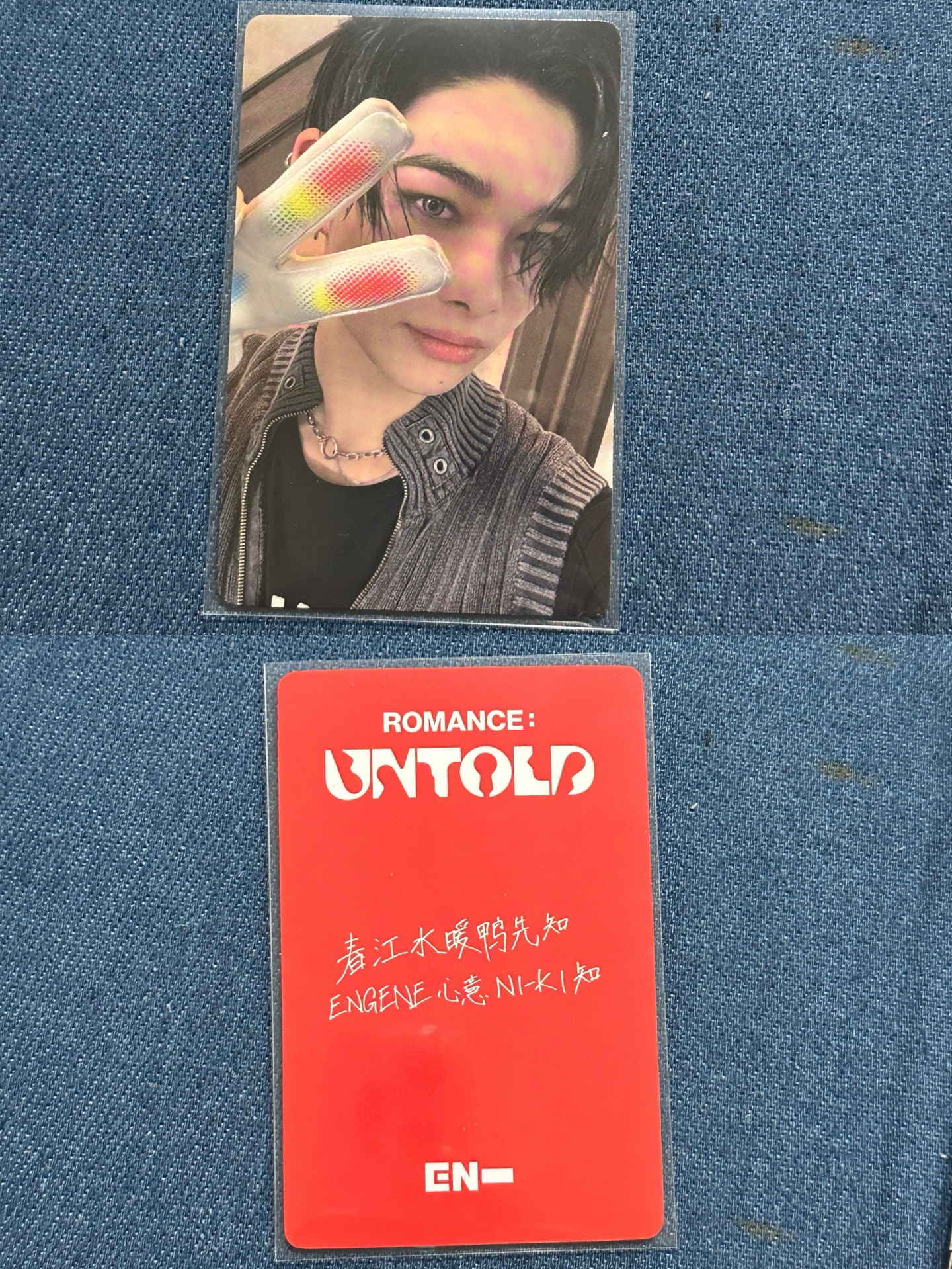 西村力yzy 春江水暖鴨先知 恩靜心意NI-KI知