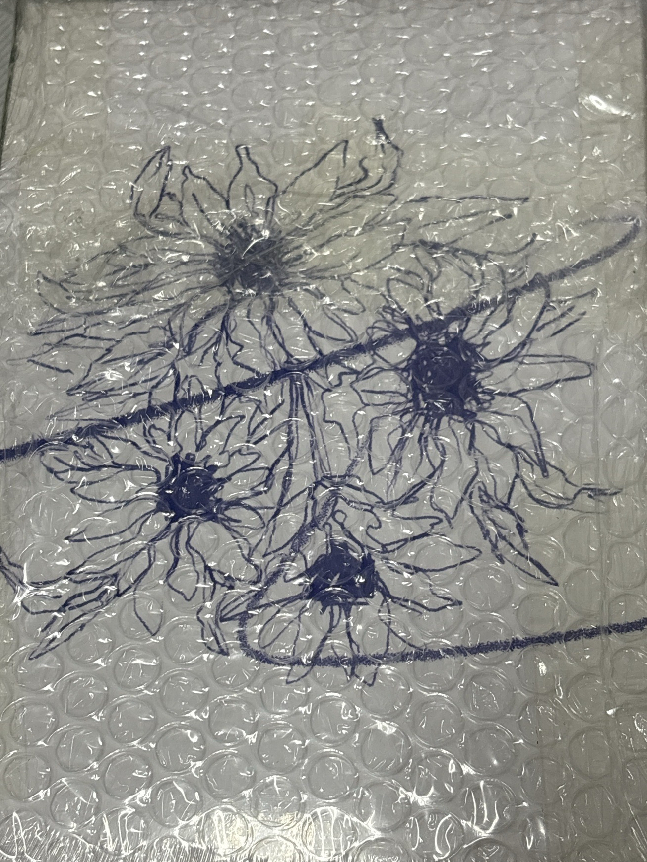 Lucy 7th ep 未拆專