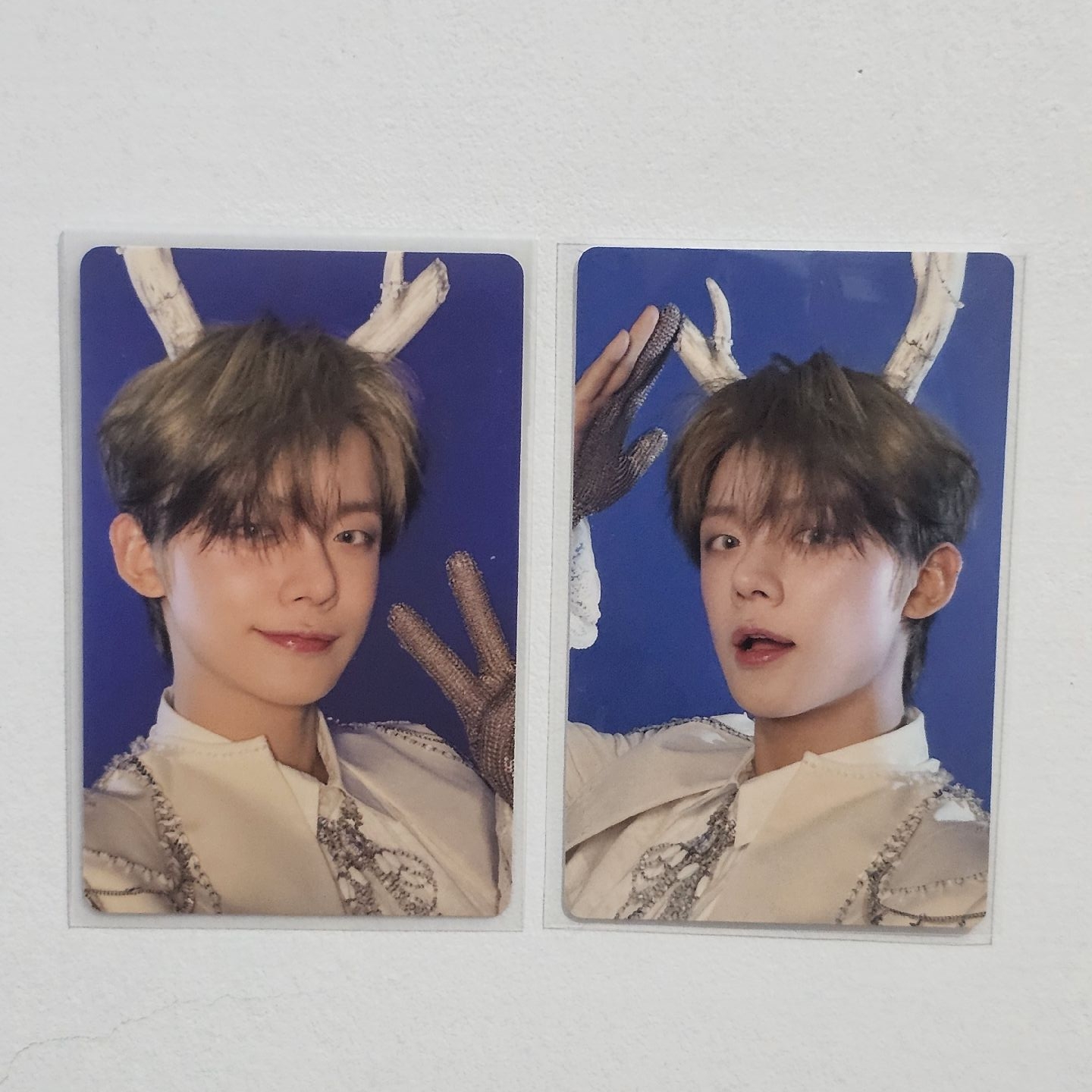 然竣 正四 一直娛1.0 + 日咖特典卡