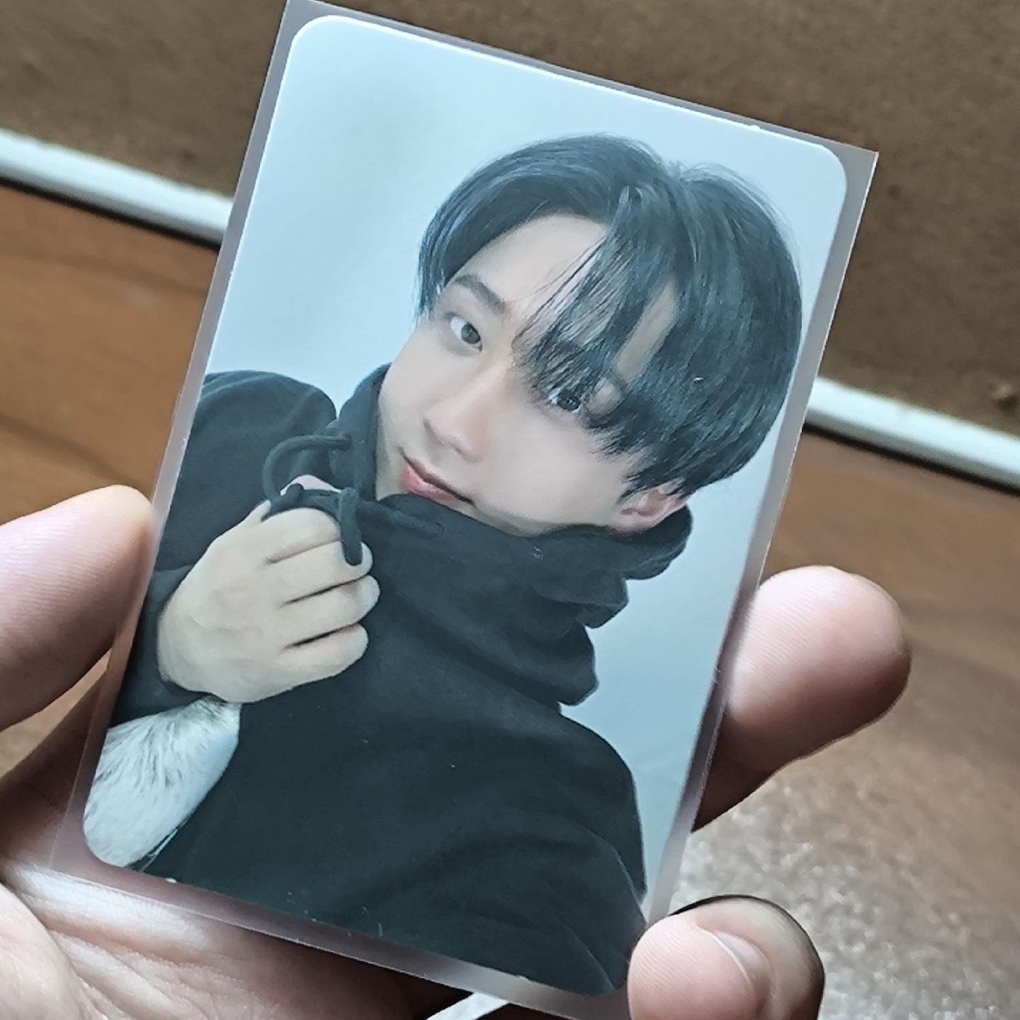 5-star sw B版幸運卡 🐰🐽