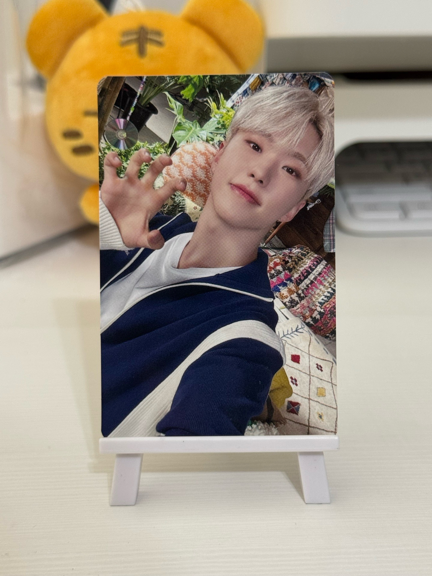 🐯消費期限 ｜CARAT ver.（含專）