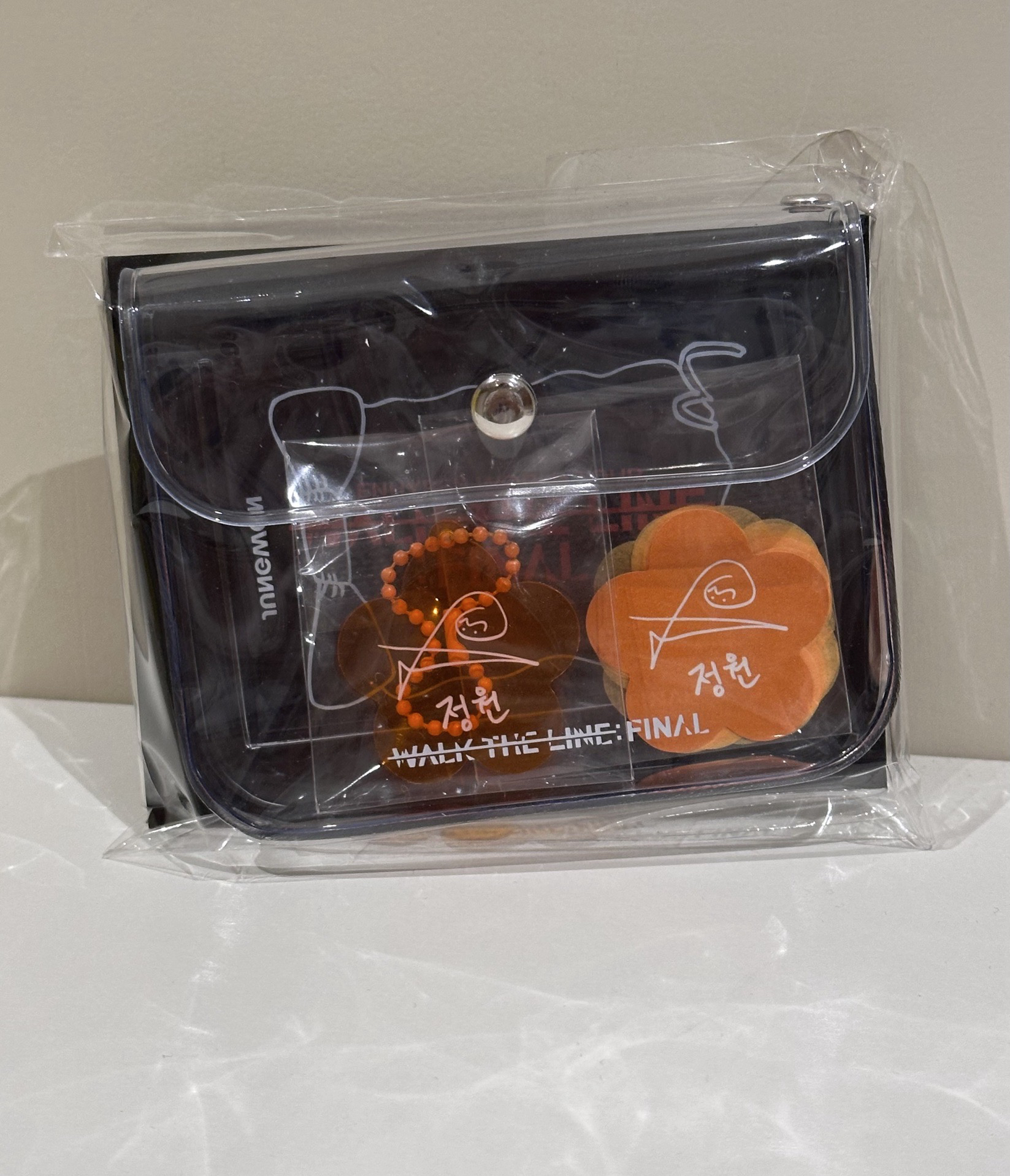 禎元 wtl韓安場週 紙花收納包