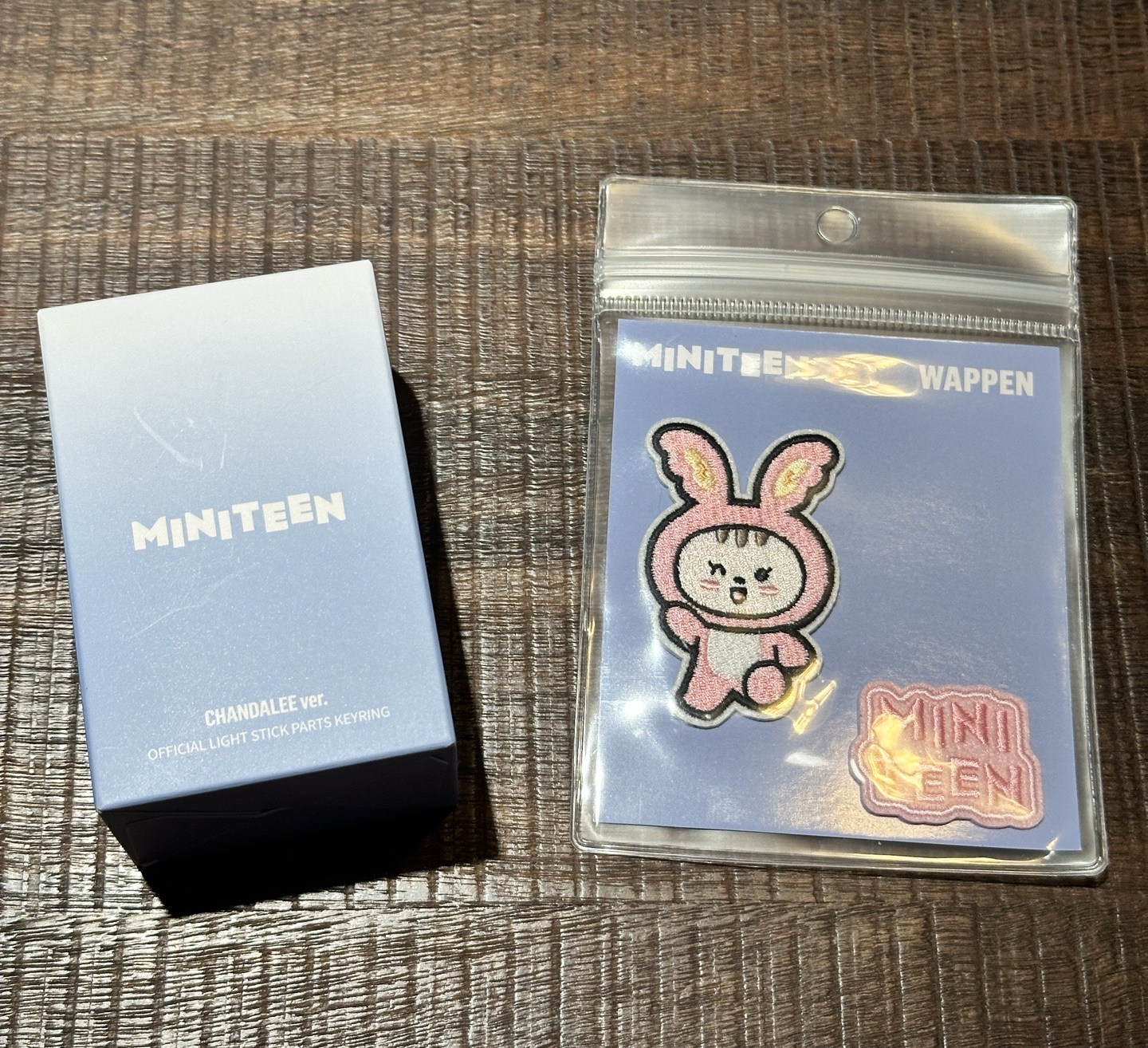 【SEVENTEEN】MINITEEN 手燈替換頭（燦)+刺繡徽章(漢) +團卡特典 不拆