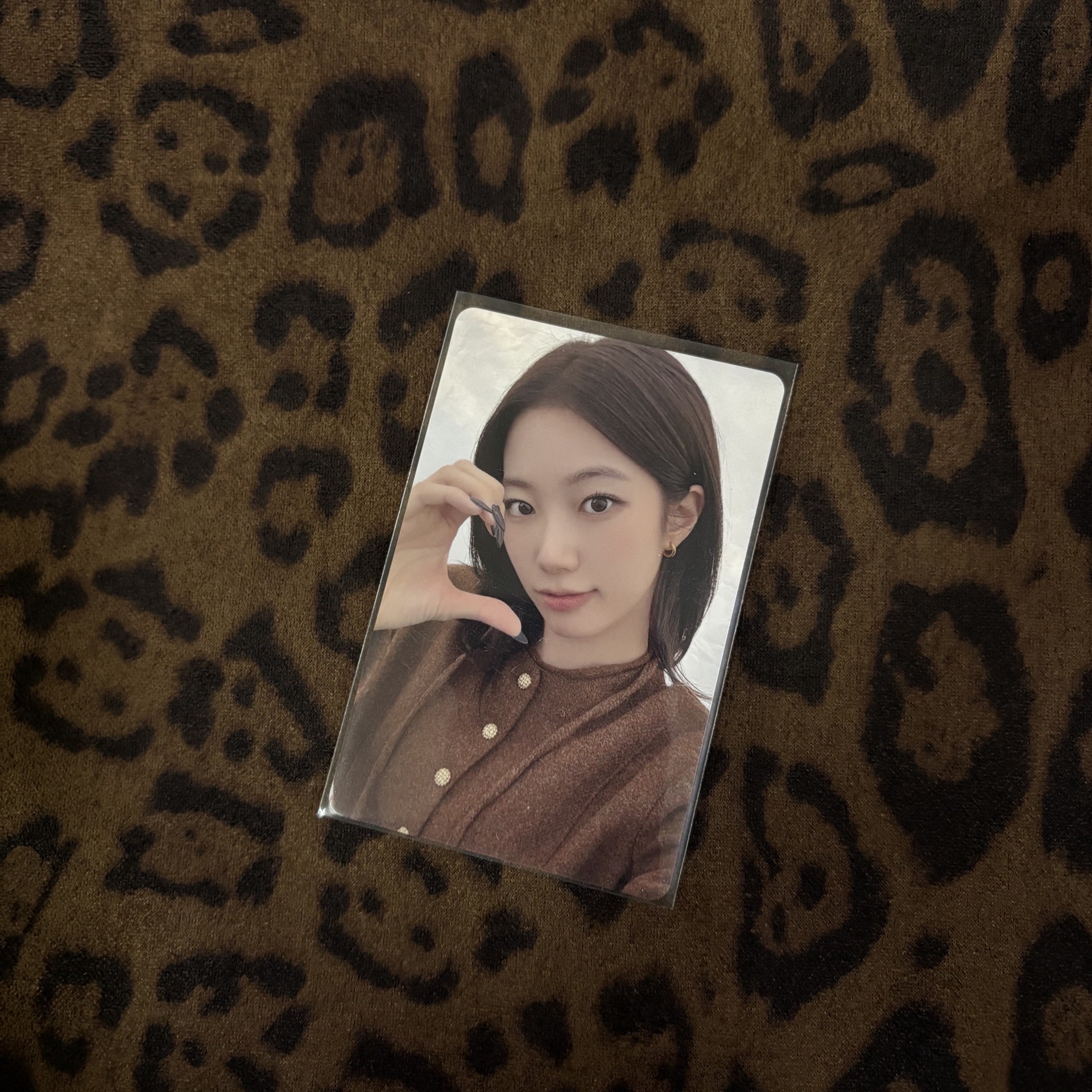 25‘巡迴 環球 東蛋安可 幸運卡 