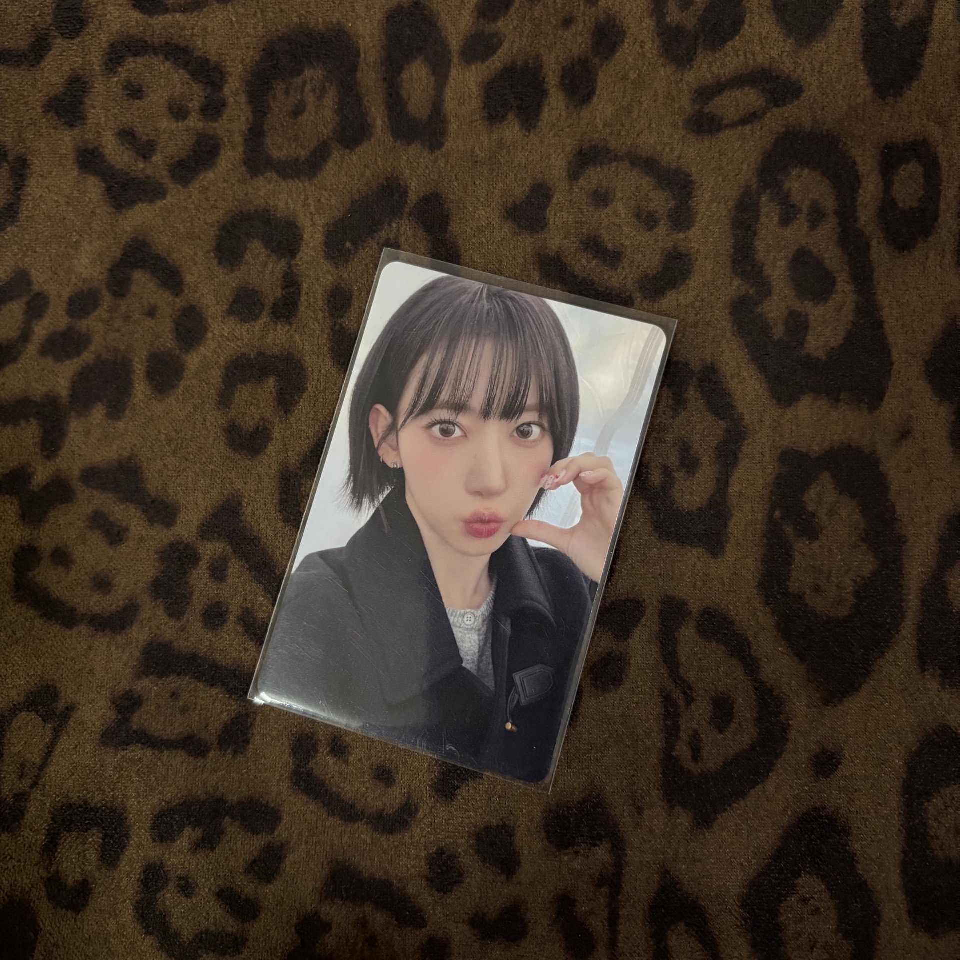 25‘巡迴 環球 東蛋安可 幸運卡 