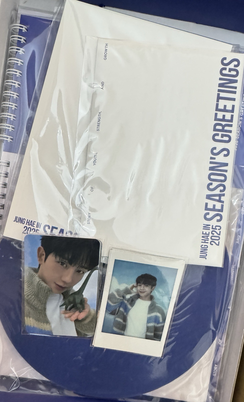 丁海寅 Jung hae in 2025 年歷 season’s greetings