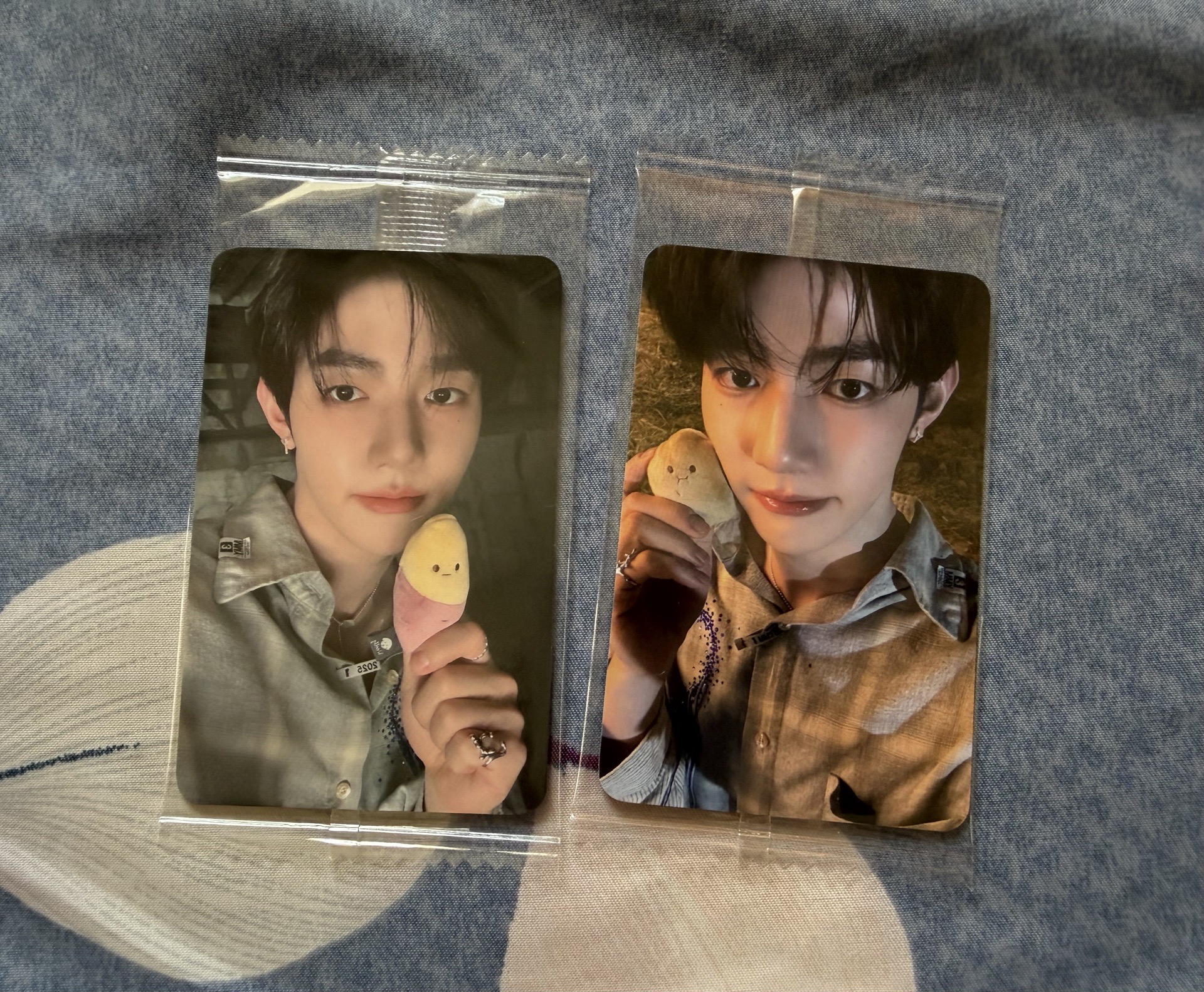 ZB1 章昊 mini5特典 紅薯 蕃薯 土豆