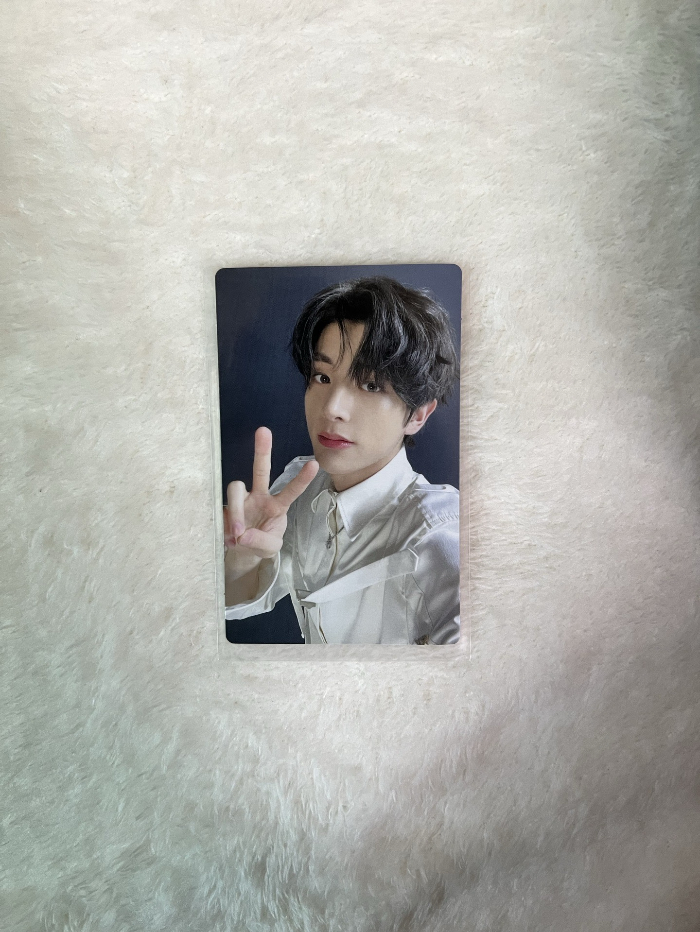 ENHYPEN 沈載倫 結YOU 專卡