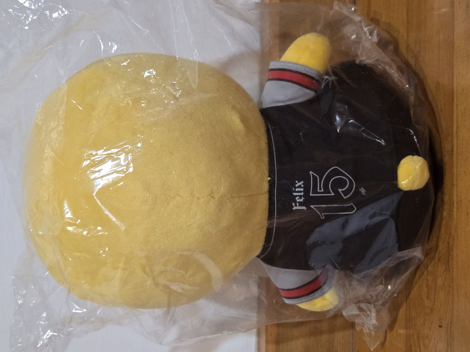 Dominate 靜岡 菲 生氣坐娃