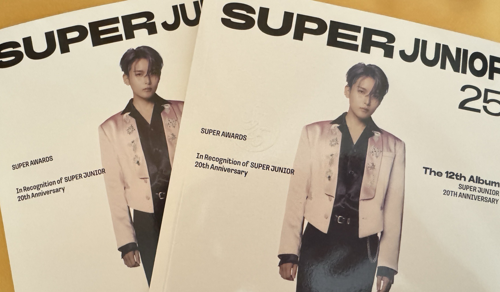 厲旭 已拆專 SUPER JUNIOR 25