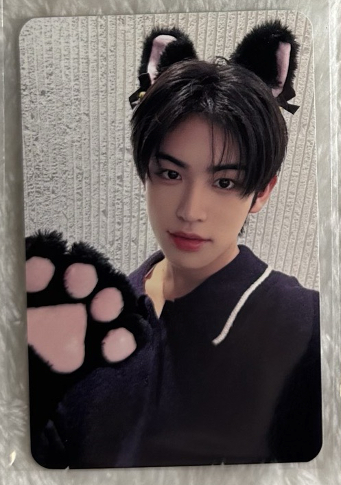 （需多帶）ms貓爪🐶