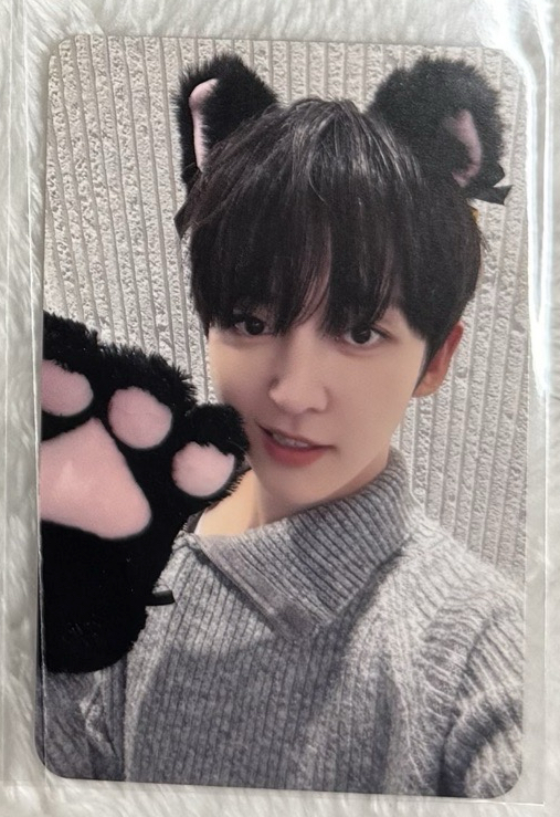 （可當多帶）ms貓爪🐰