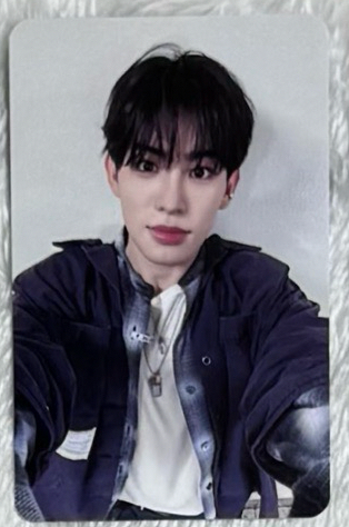 11/2台北線下中簽 🐶