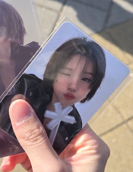 首爾day1會員粽卡