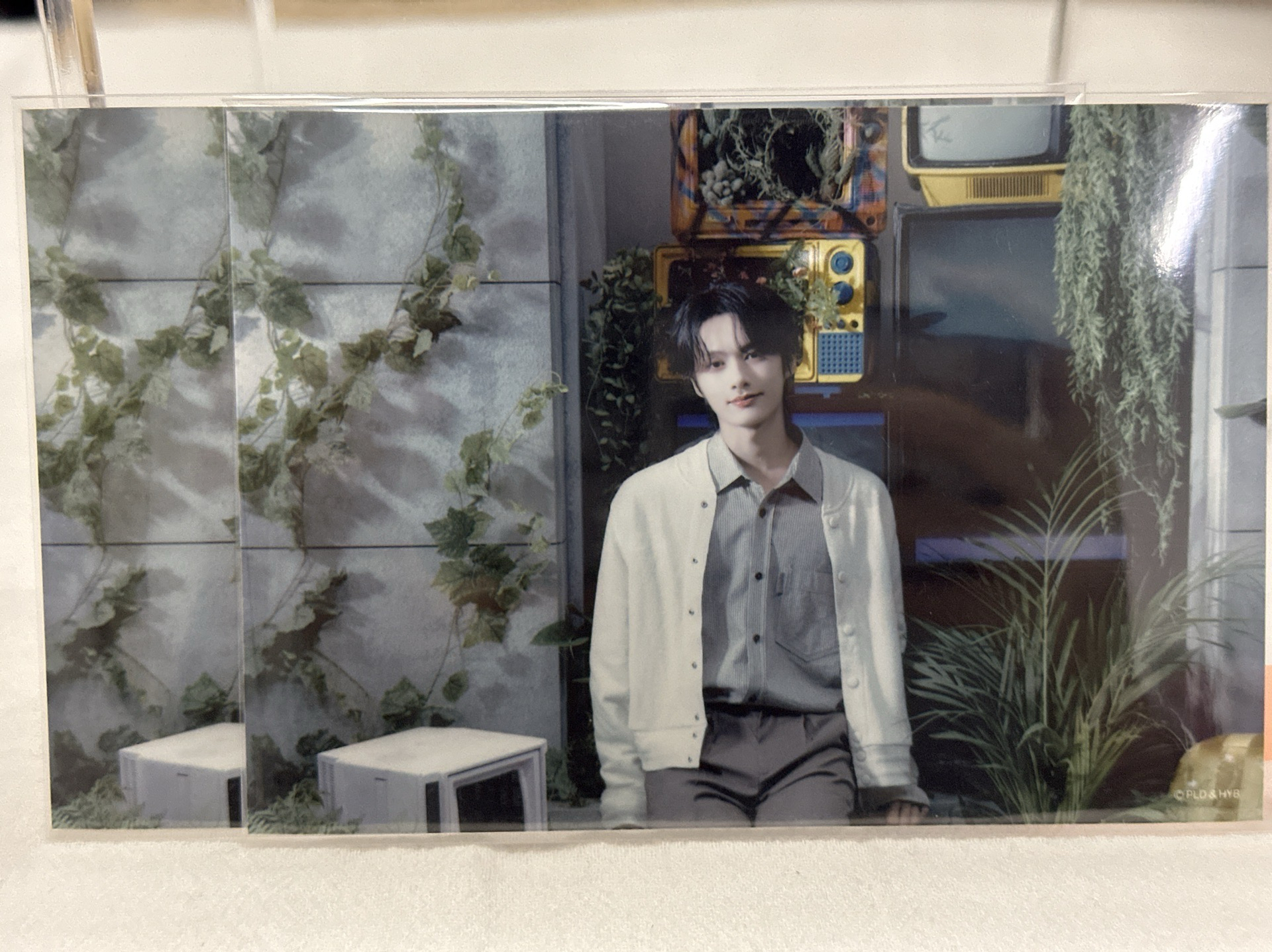 💙俊 橫幅 看鏡頭