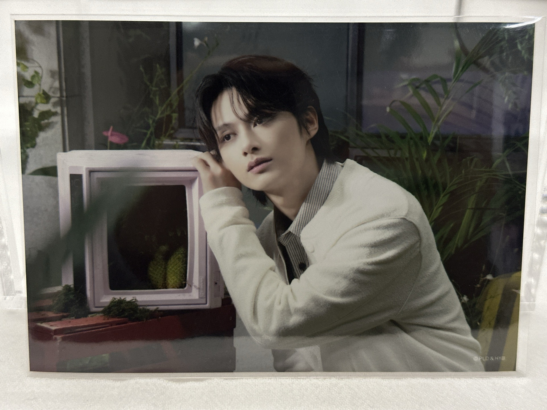 💙俊 橫幅 看遠方