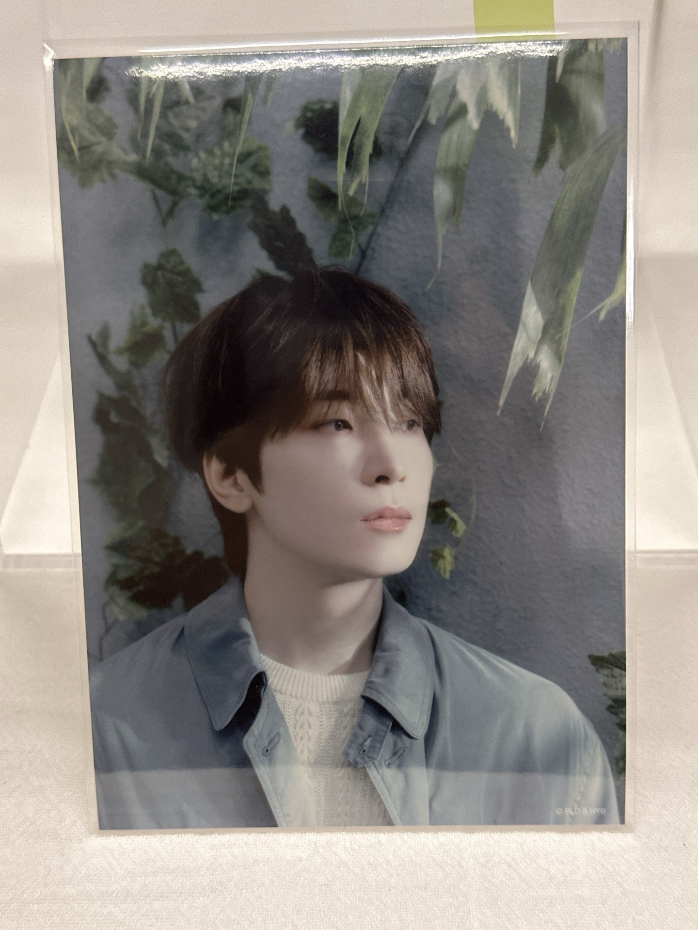 ❤️圓 看右邊（日常服）