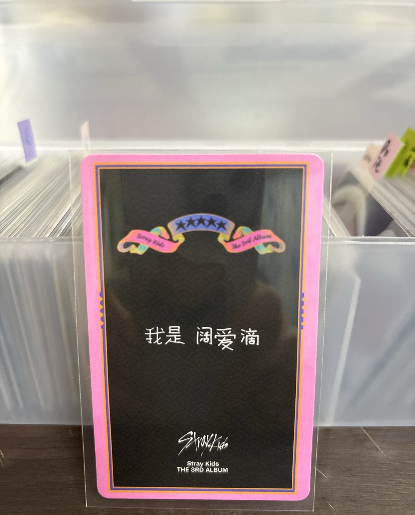 五星KMS旻（中背）