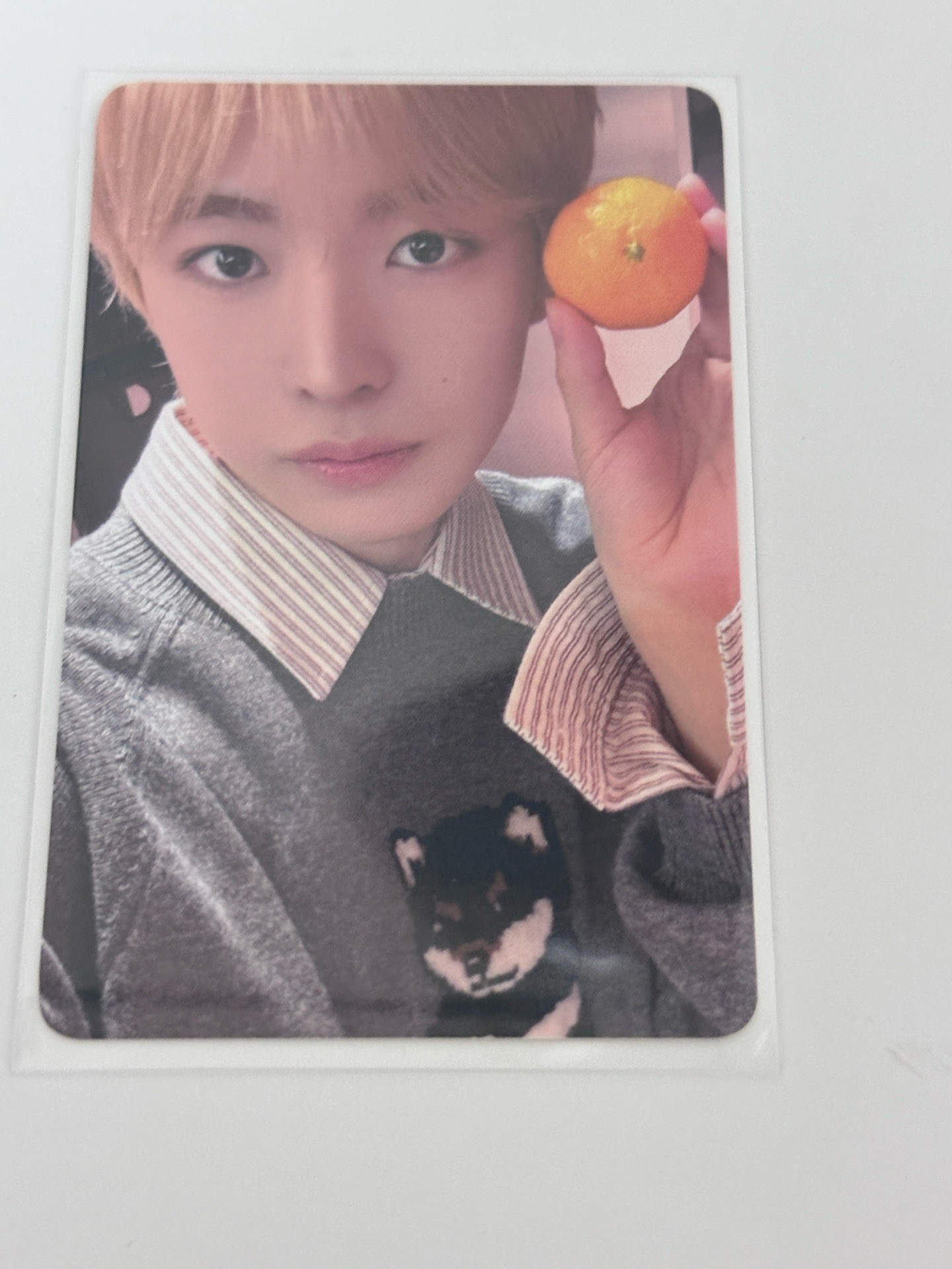 NCT WISH|yushi小卡 買多一點會送小卡