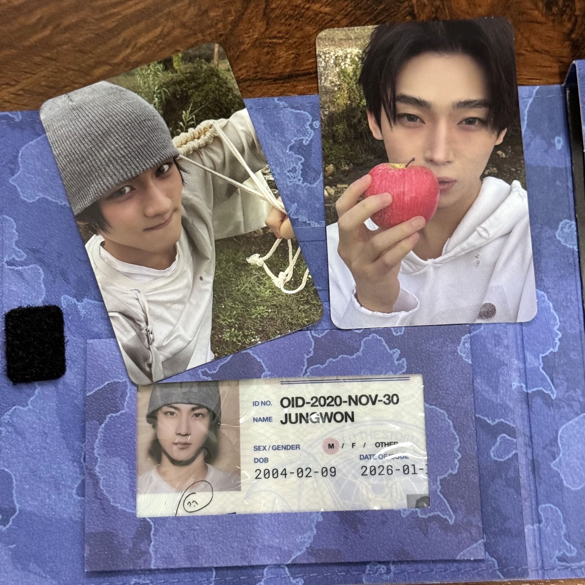 ENHYPEN 迷七/一次奶符 專卡、空專