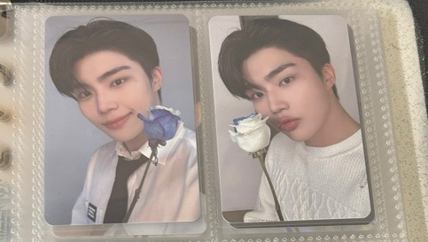 會員禮卡 兩張旭