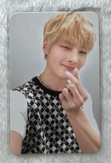 黃木台壓寅 中背