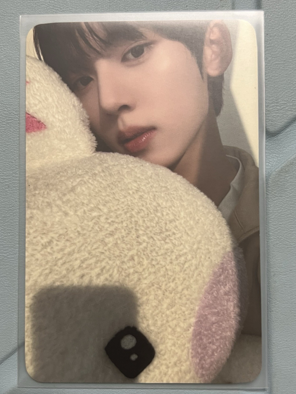 zb1 韓維辰 小卡 寶寶要睡了 比讚 比心 拿花 專卡 絲帶