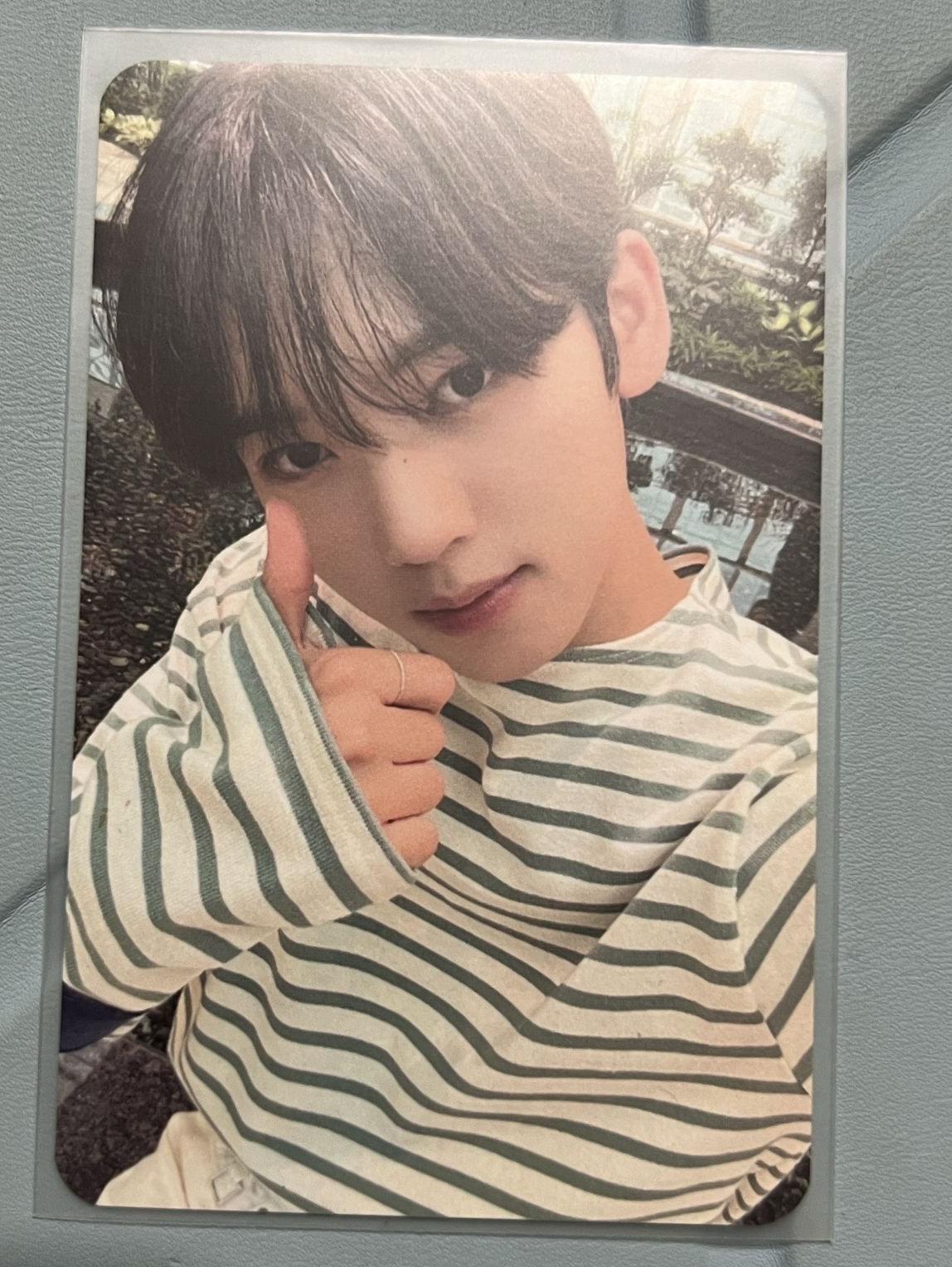 zb1 韓維辰 小卡 寶寶要睡了 比讚 比心 拿花 專卡 絲帶