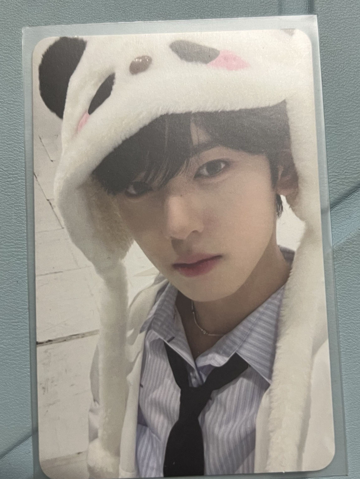 zb1 韓維辰 小卡 寶寶要睡了 比讚 比心 拿花 專卡 絲帶