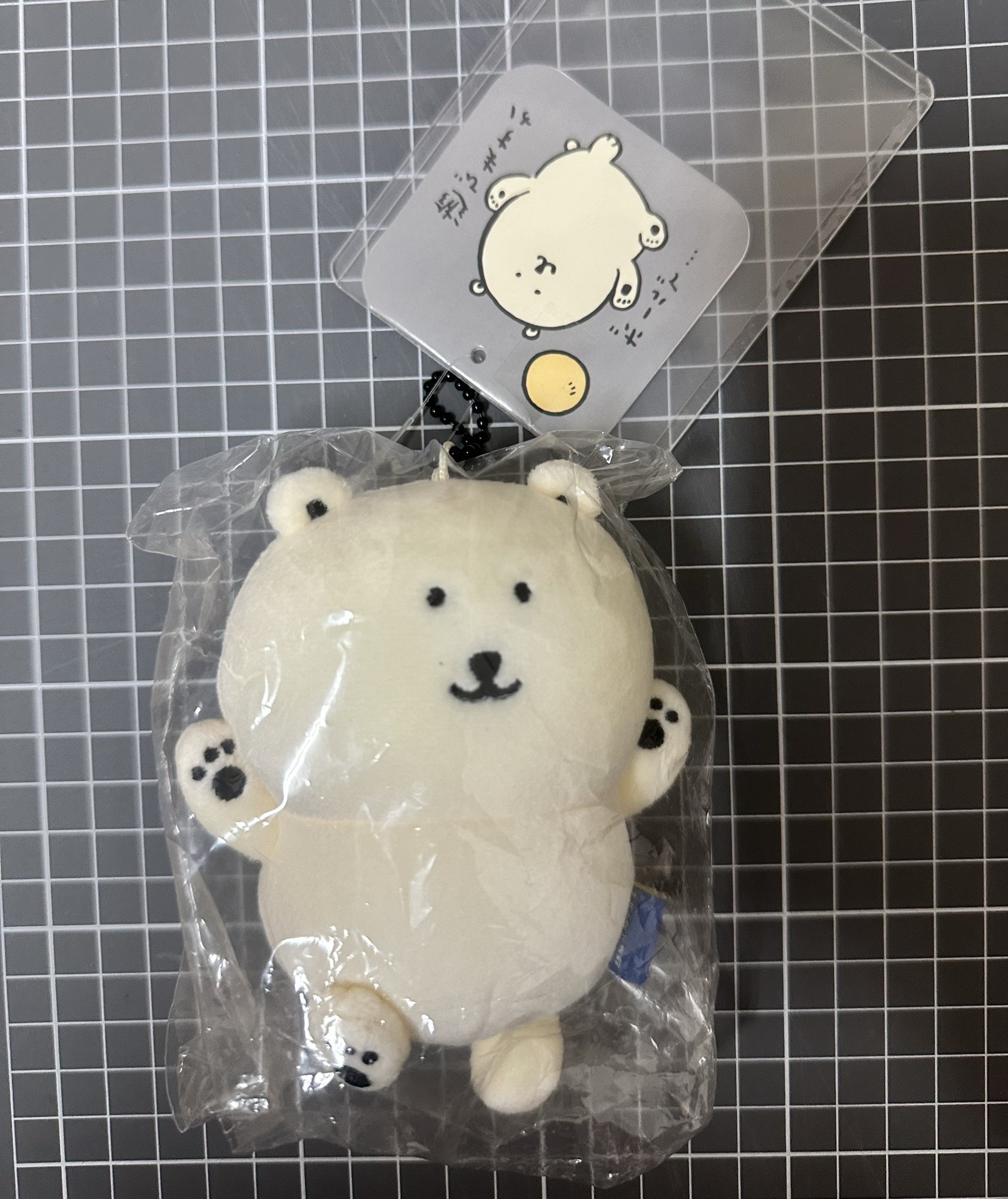 nagano 自嘲熊系列