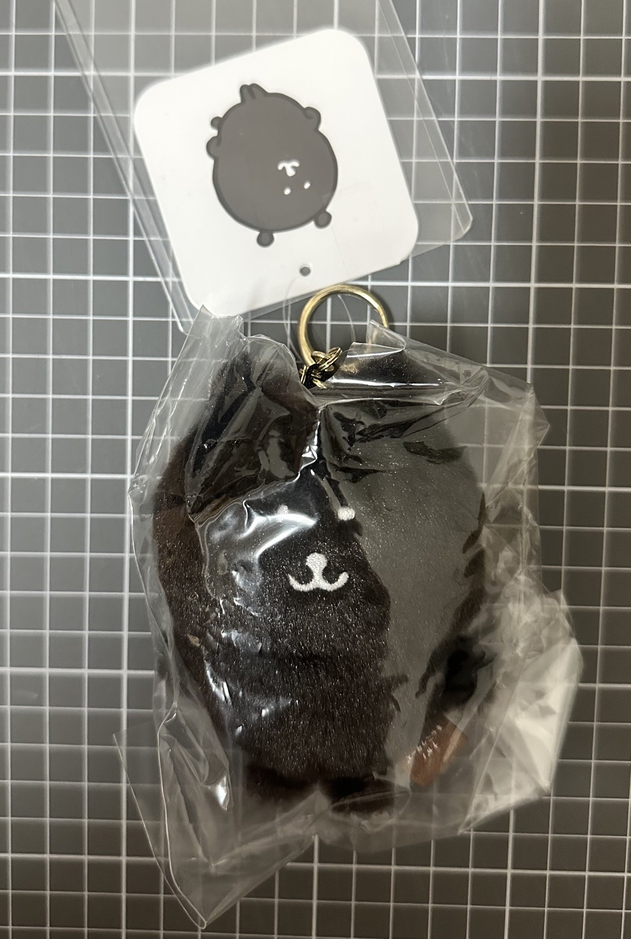 nagano 自嘲熊系列