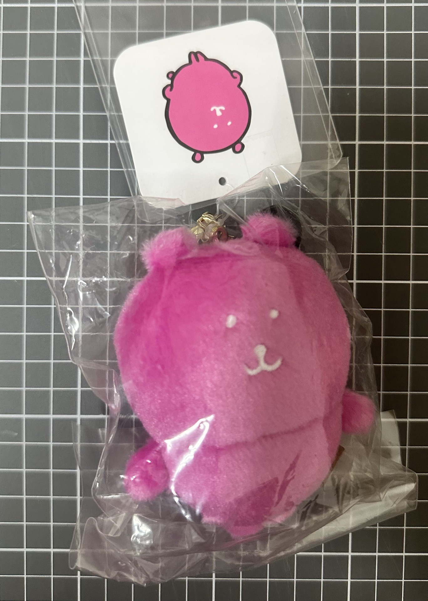 nagano 自嘲熊系列