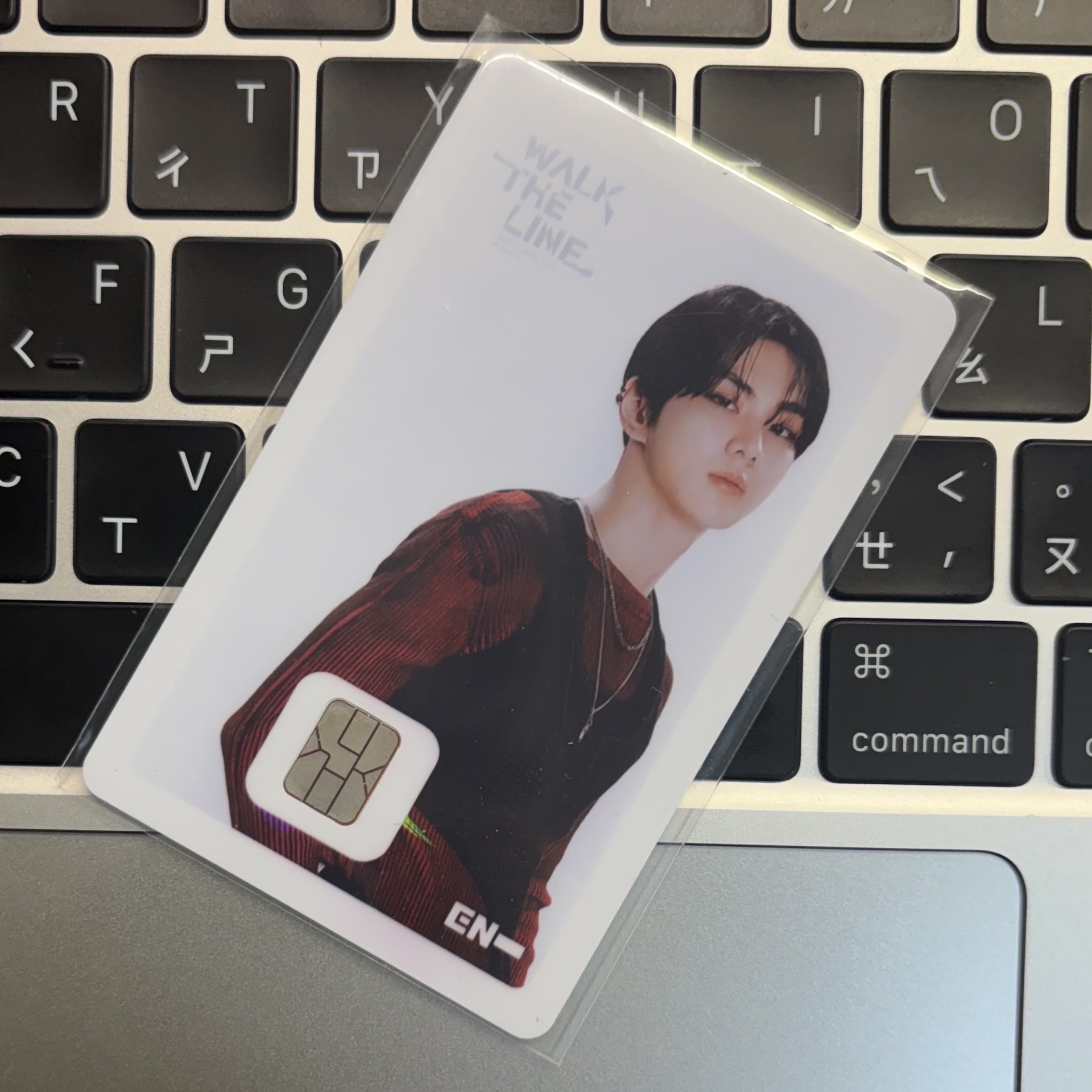 梁禎元 WTL 交通卡