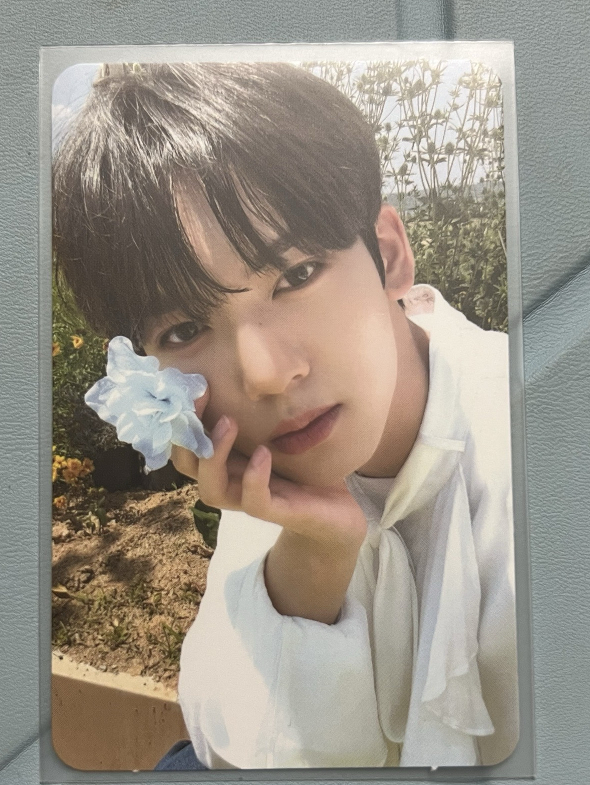 zb1韓維辰 sw藍花