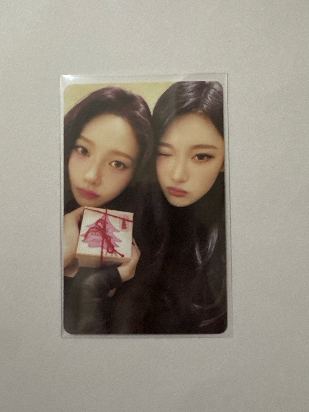 24 聖誕隨機卡包 柚寧雙人