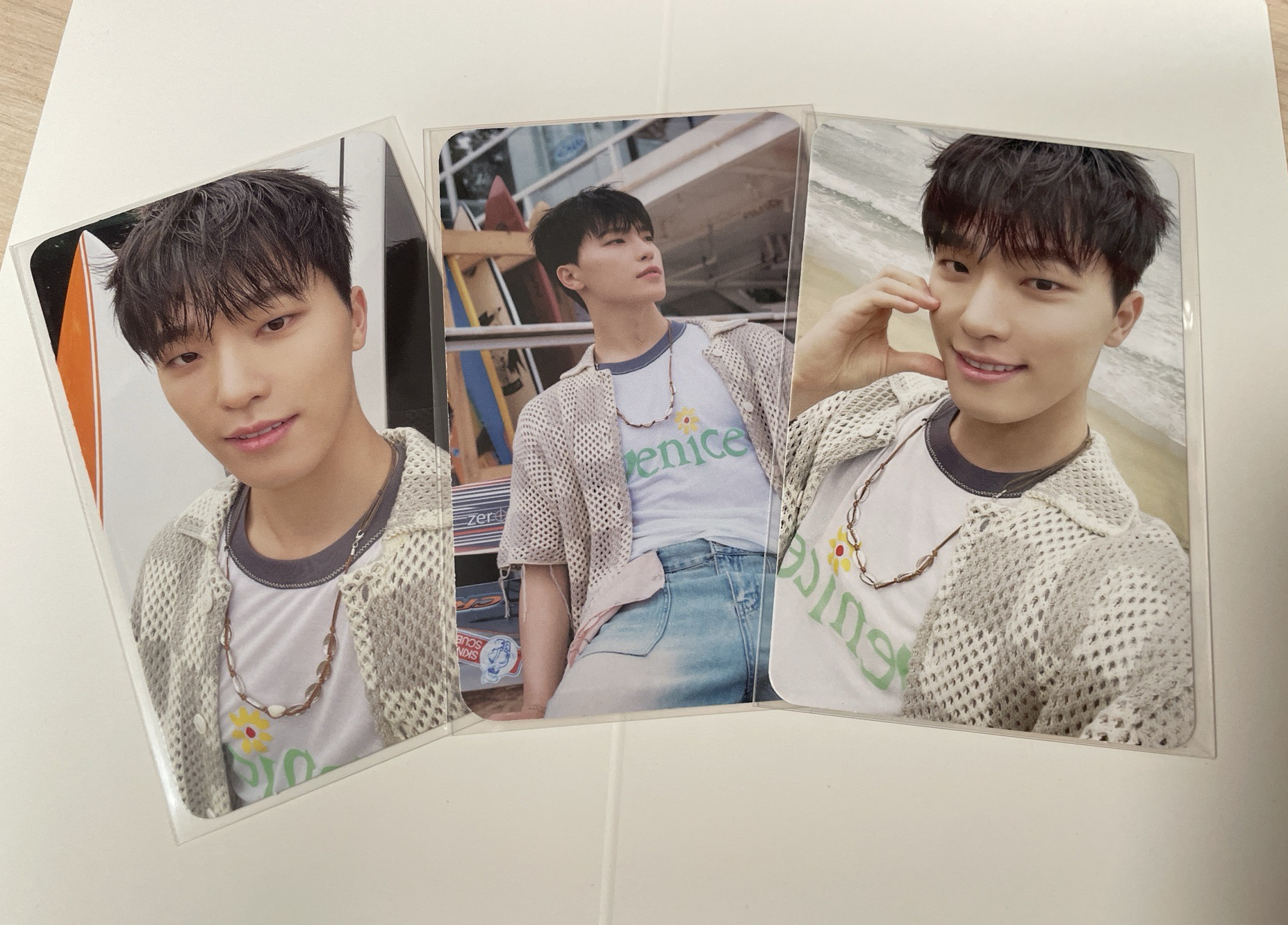 燦 迷十二wvs專未掃