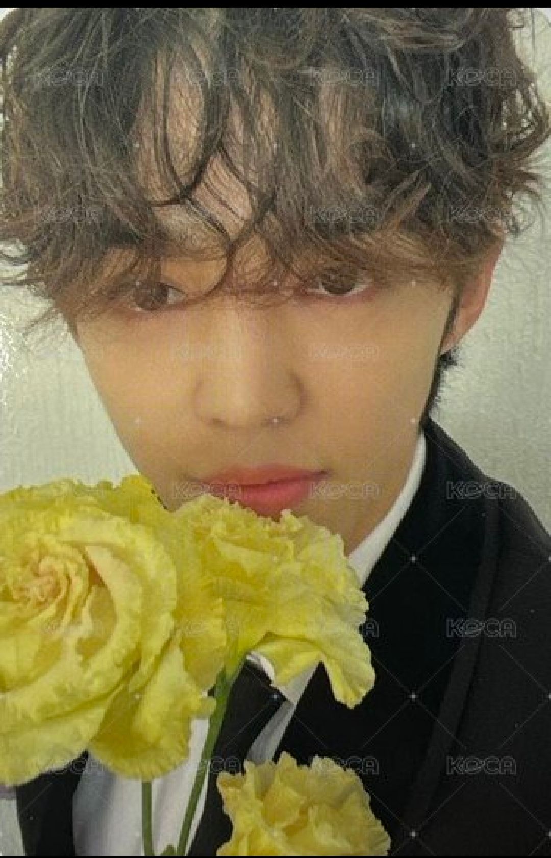 🧧MINI10 專輯卡 CARAT ver.