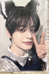 ms貓耳雄+台北zone卡來