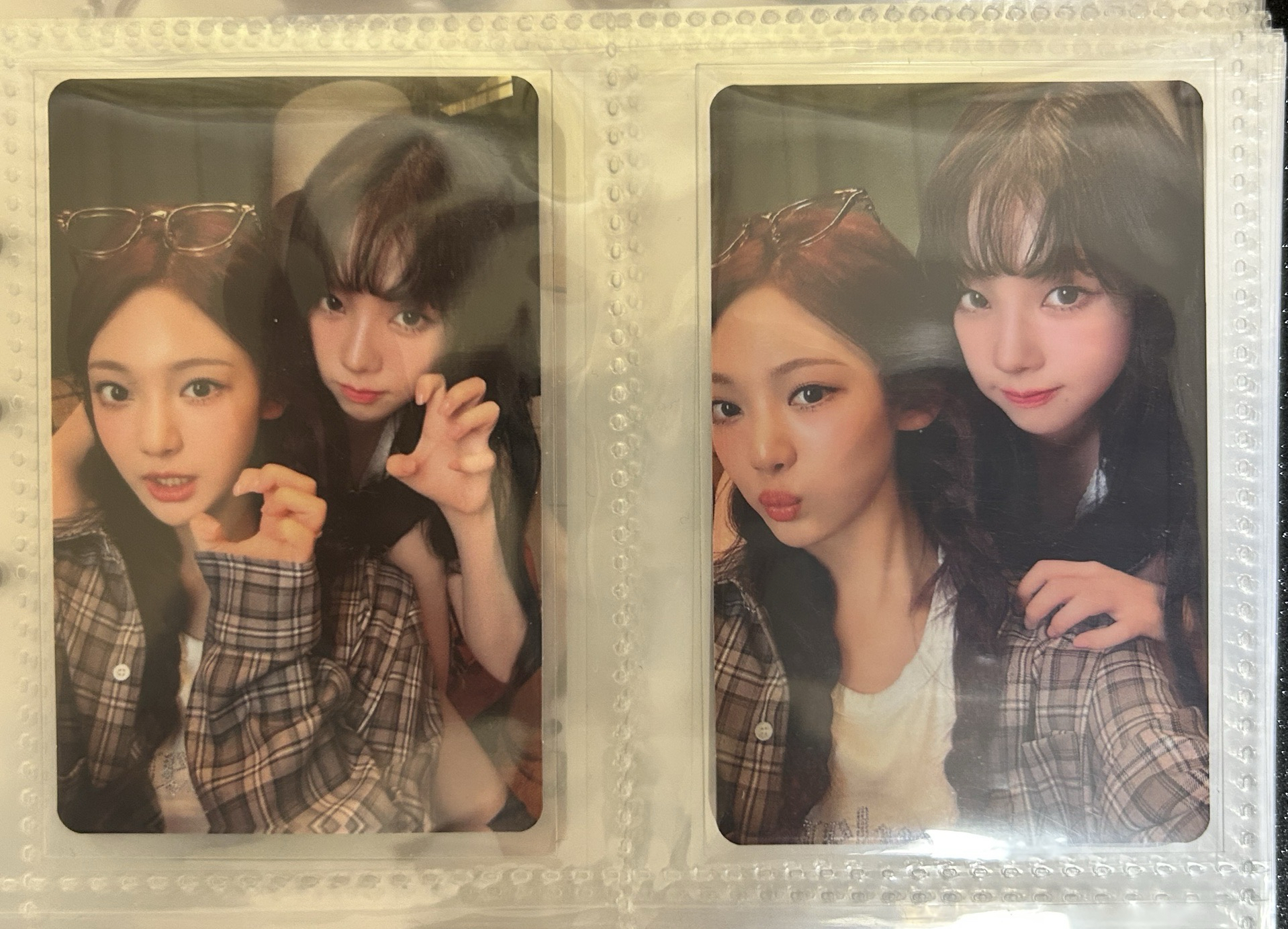 正規一 華納 特典卡 柚寧雙人卡