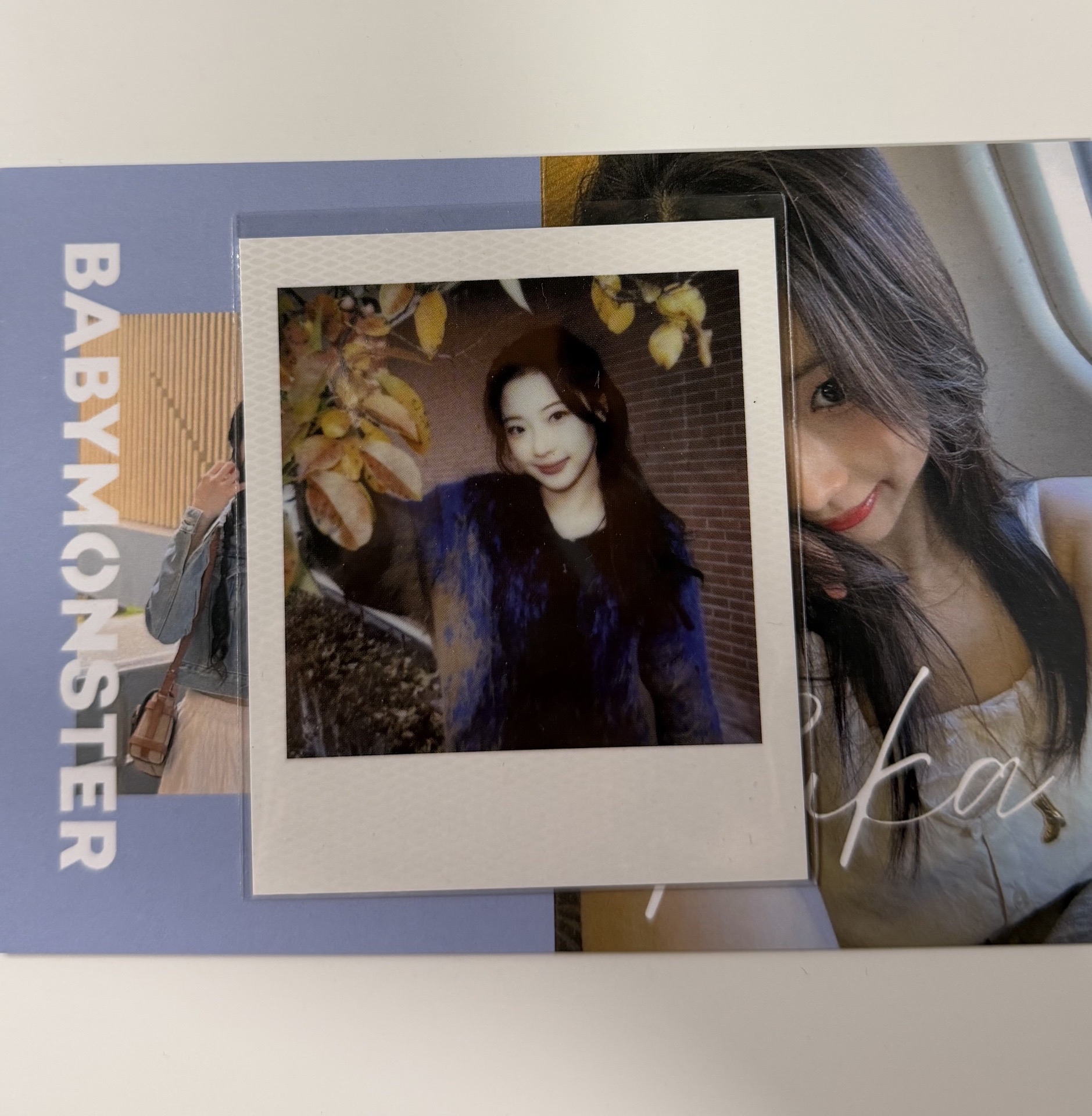 露塔🦥🦌CP 拍立得