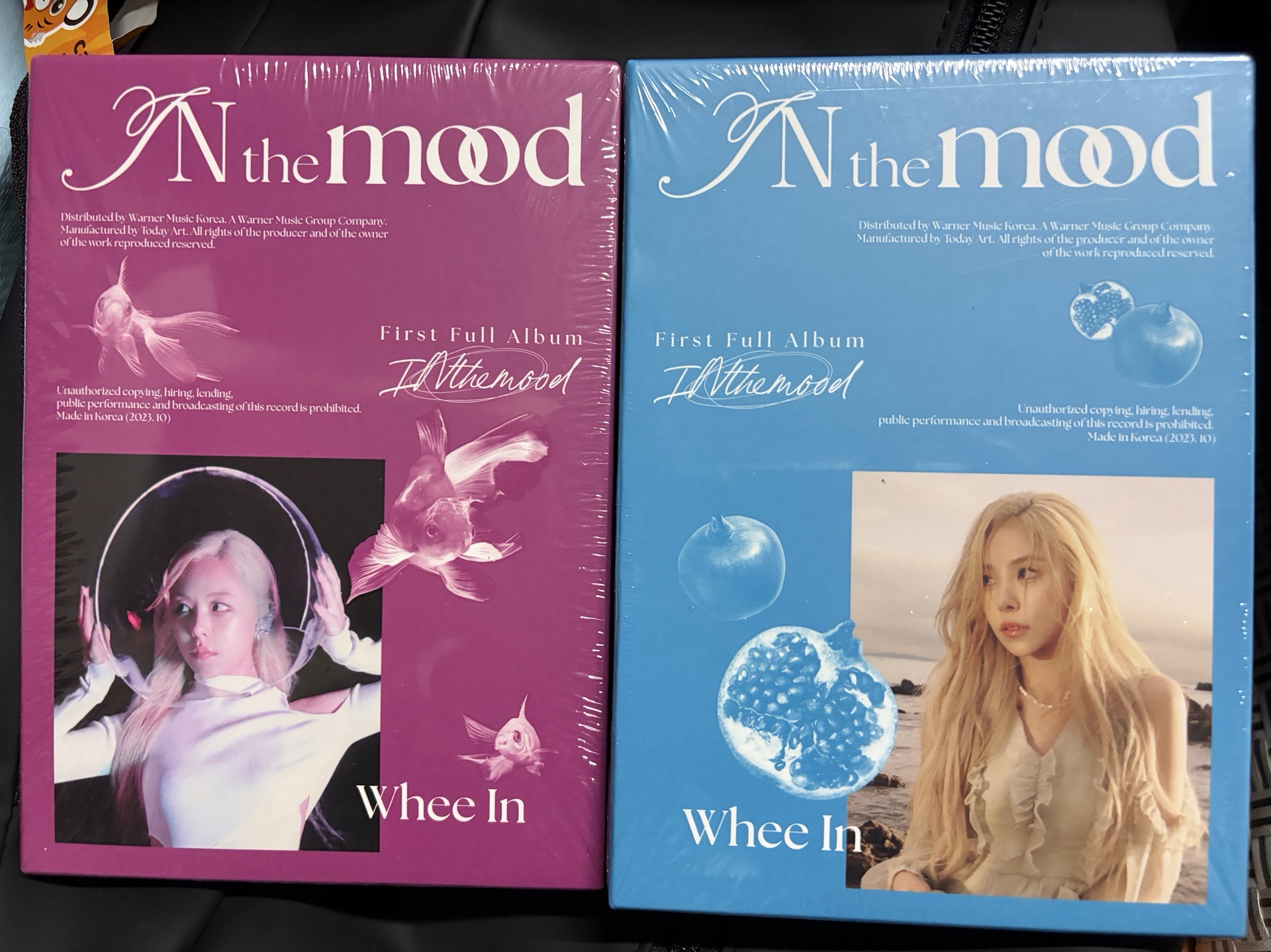 MAMAMOO WHEEIN 輝人 正規專 in the mood 全新未拆專