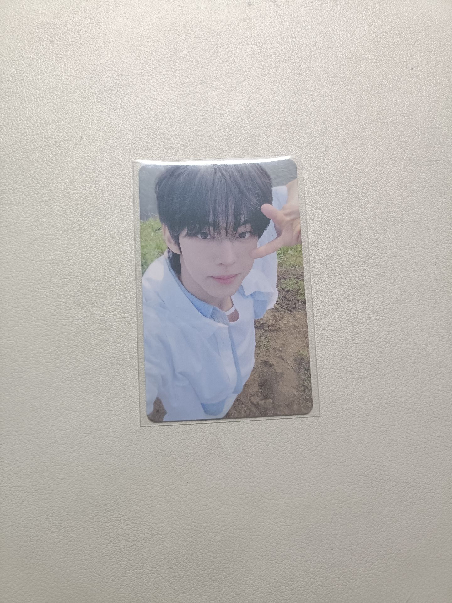 道勳 塔店幸運卡