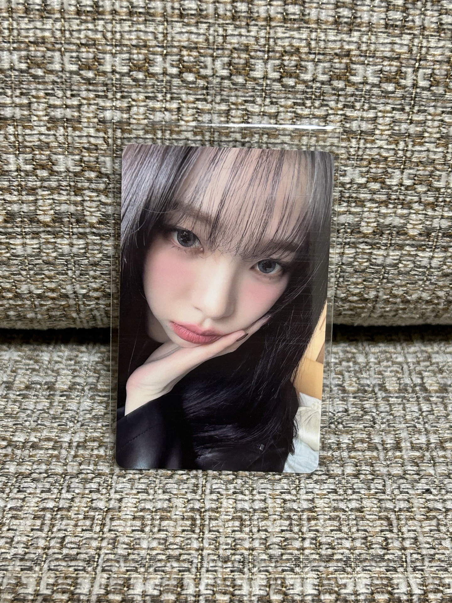 Whiplash kms 簽售卡 聖誕簽售柚